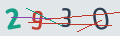 verifycode